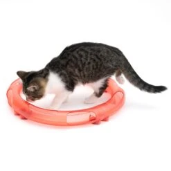 TIAKI Roundabout Ball Track For Cats 1 Toy -Zoo Plus 359698 tiaki roundabout cat fg 2209 5