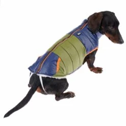 TIAKI Stripes Dog Jacket Approx. 35cm Back Length -Zoo Plus 360298 tiaki stripes fg 9952 1 2