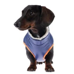 TIAKI Stripes Dog Jacket Approx. 30cm Back Length -Zoo Plus 360298 tiaki stripes fg 9954 5 1