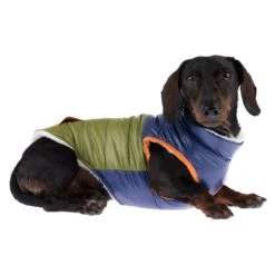 TIAKI Stripes Dog Jacket Approx. 40cm Back Length -Zoo Plus 360298 tiaki stripes fg 9959 1
