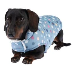TIAKI Comfy Dots Dog Coat Approx. 45cm Back Length -Zoo Plus 360301 comfy dots fg 9974 2 1