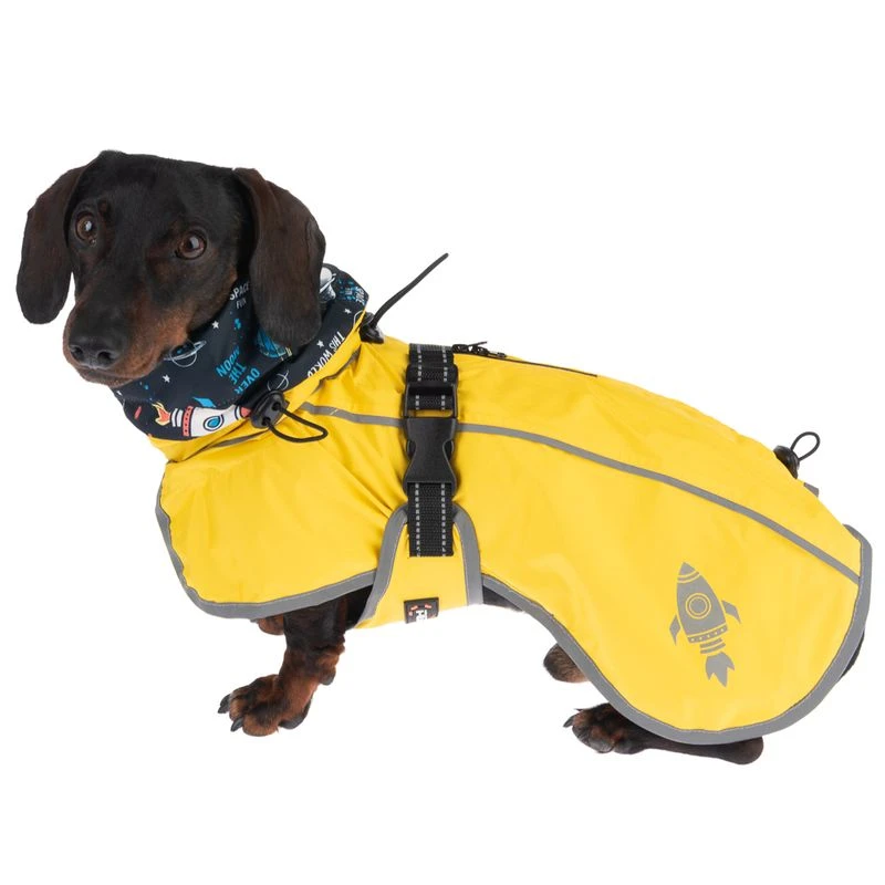 TIAKI Buzz Dog Raincoat Approx. 50cm Back Length 6 TIAKI Buzz Dog Raincoat Approx. 50cm Back Length - Image 6