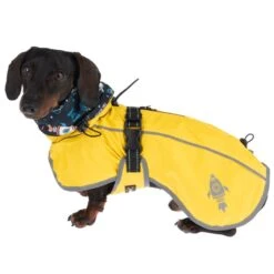 TIAKI Buzz Dog Raincoat Approx. 30cm Back Length 24 TIAKI Buzz Dog Raincoat Approx. 30cm Back Length -Zoo Plus 360696 buzz 30cm fg 0517 8