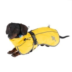 TIAKI Buzz Dog Raincoat Approx. 30cm Back Length 28 TIAKI Buzz Dog Raincoat Approx. 30cm Back Length -Zoo Plus 360696 buzz 30cm fg 0525 2