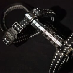 TIAKI Reflective Safety Harness Size S: 31 - 50cm Chest Circumference -Zoo Plus 367807 tiaki safety harness reflect fg 3954 6 1