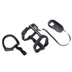 TIAKI Reflective Safety Harness Size L: 58 - 102cm Chest Circumference -Zoo Plus 367807 tiaki safety harness reflect fg 3960 1