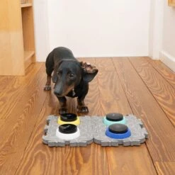 TIAKI Pet Talking Buttons "Let's Talk!" 9 X 4cm (diameter X H), 4 Pieces -Zoo Plus 376716 tiaki pet talking buttons lets talk fg 3775 3