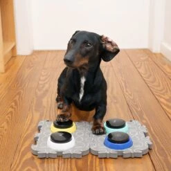 TIAKI Pet Talking Buttons "Let's Talk!" 9 X 4cm (diameter X H), 4 Pieces -Zoo Plus 376716 tiaki pet talking buttons lets talk fg 3779 0