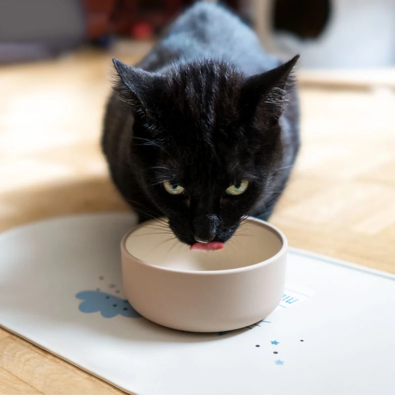 TIAKI Premium Silicone Bowl - Sand 350ml (11cm Diameter) 4 TIAKI Premium Silicone Bowl - Sand 350ml (11cm Diameter) - Image 4