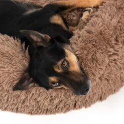 TIAKI No Stress Cuddly Bed - Beige Small: 75 X 25cm (Diameter X H) -Zoo Plus 381396 tiaki cuddle bed no stress fg 4640 0