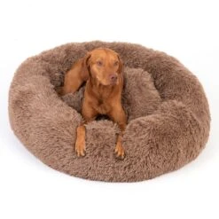 TIAKI No Stress Cuddly Bed - Beige Small: 75 X 25cm (Diameter X H) -Zoo Plus 381397 tiaki cuddle bed no stress fg 4644 7