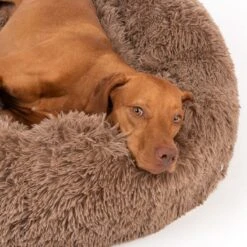 TIAKI No Stress Cuddly Bed - Beige Medium: 95 X 28cm (Diameter X H) -Zoo Plus 381397 tiaki cuddle bed no stress fg 4649 3 1