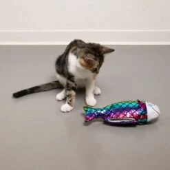 TIAKI Electronic Dancing Fish Cat Toy 1 Toy -Zoo Plus 383397 cat fg 1422 5