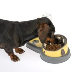 TIAKI Food And Water Dispenser 2-in-1 200ml Bowl & 500ml Bottle 20 TIAKI Food And Water Dispenser 2-in-1 200ml Bowl & 500ml Bottle -Zoo Plus 383934 tiaki feed and water dispencer dog fg 4651 3