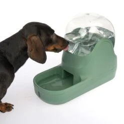TIAKI Bubble Water Dispenser 3.8 Litres -Zoo Plus 383935 tiaki water dispencer bubble dog fg 4670 2