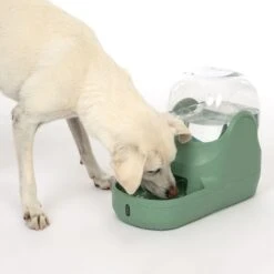 TIAKI Bubble Water Dispenser 3.8 Litres -Zoo Plus 383935 tiaki water dispencer bubble dog fg 4744 2