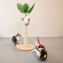 TIAKI Interactive Jumping Cat Toy 1 Toy -Zoo Plus 402096 cat fg 0758 7