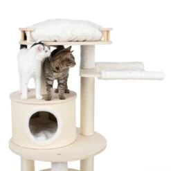 TIAKI Jin Scratching Post Cream -Zoo Plus 402196 tiaki jin fg 6861 4