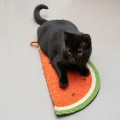 TIAKI Watermelon Scratch Mat Red -Zoo Plus 403599 tiaki watermelon cat scratcher fg 9468 1