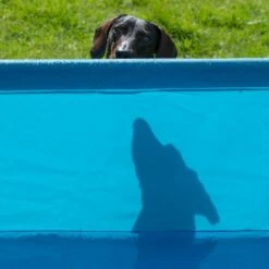 TIAKI Square Dog Pool 119 X 90 X 33cm (L X W X H) -Zoo Plus 403600 tiaki square dog pool dog fg 4958 8