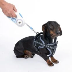 TIAKI Dragonfly Retractable Lead With Light - 3m For Dogs Up To 15kg (approx. 3m) -Zoo Plus 40561e 1 6