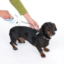 TIAKI Dragonfly Retractable Lead With Light - 3m For Dogs Up To 15kg (approx. 3m) -Zoo Plus 407eb2 1 1