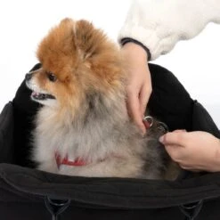 TIAKI 3-in-1 Dog Car Seat Approx. 45 X 26 X 33 Cm (L X W X H) -Zoo Plus 408596 tiaki dog car seat 3in1 fg 4999 7