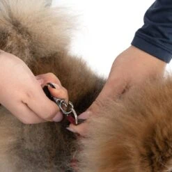 TIAKI Shoulder Bag For Dogs Approx. 42 X 18 X 25 Cm (L X W X H) -Zoo Plus 408696 tiaki shoulder bag for dogs fg 5014 6