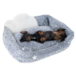 TIAKI Glowing Stars Dog Bed 70 X 50 X 25 Cm (L X W X H) 15 TIAKI Glowing Stars Dog Bed 70 X 50 X 25 Cm (L X W X H) -Zoo Plus 408899 hundebett glowing stars dog fg 6154 1 1
