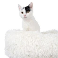 TIAKI Harry Scratching Post White -Zoo Plus 412703 tiaki harry fg 7370 4