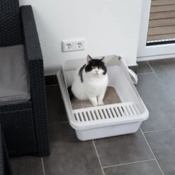 TIAKI Dusty Rounded Cat Litter Tray White -Zoo Plus 414997 tiaki litter box dusty cat fg 3518 3