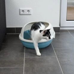 TIAKI Cobby Rounded Cat Litter Tray White / Blue -Zoo Plus 419399 tiaki schalentoilette cobby cat fg 3549 6