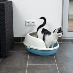 TIAKI Cobby Rounded Cat Litter Tray White / Blue -Zoo Plus 419399 tiaki schalentoilette cobby cat fg 3553 9