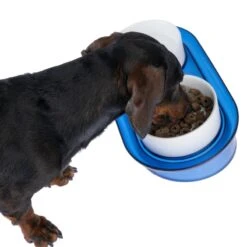 TIAKI Deep Sea Duo Ceramic Bowls 2 X 400ml, Diameter 13cm -Zoo Plus 420198 tiaki duo bowl deep sea fg 4187 4