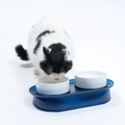 TIAKI Deep Sea Duo Ceramic Bowls 2 X 400ml, Diameter 13cm -Zoo Plus 420198 tiaki duo bowl deep sea fg 4229 0