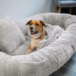 TIAKI XL Comfort Dog Bed 173 X 90 X 30 Cm (L X W X H) 18 TIAKI XL Comfort Dog Bed 173 X 90 X 30 Cm (L X W X H) -Zoo Plus 427296 tiaki xl komfort hundebett hs 13 8