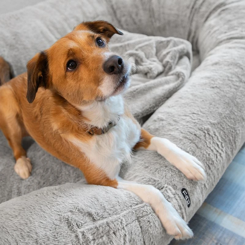 TIAKI XL Comfort Dog Bed 173 X 90 X 30 Cm (L X W X H) 8 TIAKI XL Comfort Dog Bed 173 X 90 X 30 Cm (L X W X H) - Image 8