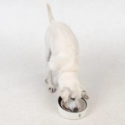 TIAKI Smart Bowl With Scales Approx. 22 X 24.5 X 8 Cm (L X W X H) -Zoo Plus 432696 dog fg 6025 6