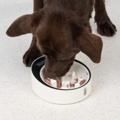 TIAKI Slow Feeder Smart Bowl With Scales 1 Bowl -Zoo Plus 432796 dog fg 6033 0