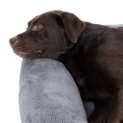 TIAKI Lazy Bear Dog Bed – Dark Grey Size M: 70 X 55 X 20cm (L X W X H) -Zoo Plus 446106 tiaki hundebett lazy bear dunkelgrau fg 4047 3