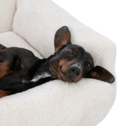 TIAKI Lazy Bear Dog Bed – Ecru Size L: 100 X 80 X 20cm (L X W X H) -Zoo Plus 446107 tiaki hundebett lazy bear ecru fg 4151 7 1