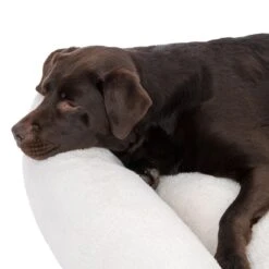 TIAKI Lazy Bear Dog Bed – Ecru Size L: 100 X 80 X 20cm (L X W X H) -Zoo Plus 446109 tiaki hundebett lazy bear ecru fg 4072 7 1