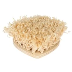 TIAKI Heart-shaped Sniffer Board For Small Animals Approx. 30 X 30 X 10cm (L X W X H)