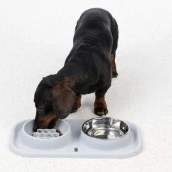 TIAKI Stainless Steel Double Bowl & Slow Feeder With Mat 2 X 300ml -Zoo Plus 452197 dog fg 5846 0
