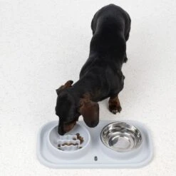 TIAKI Stainless Steel Double Bowl & Slow Feeder With Mat 2 X 300ml -Zoo Plus 452197 dog fg 5849 0