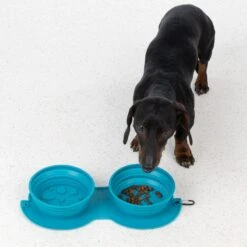 TIAKI Sea Shell Silicone Double Travel Bowl 2 X 600ml -Zoo Plus 452198 dog fg 5850 3