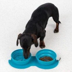 TIAKI Sea Shell Silicone Double Travel Bowl 2 X 600ml -Zoo Plus 452198 dog fg 5854 2