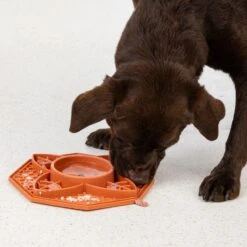 TIAKI Silicone Mandala Slow Feeder 200ml -Zoo Plus 452199 dog fg 5935 0