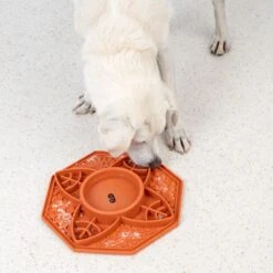 TIAKI Silicone Mandala Slow Feeder 200ml -Zoo Plus 452199 dog fg 5950 9