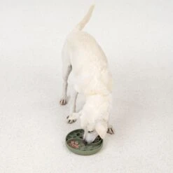 TIAKI Honeycomb Silicone Slow Feeder Approx. 19 X 3.5cm (Diameter X H) -Zoo Plus 452296 dog fg 5906 9